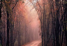 九游娱乐活动-新西兰足球超级联赛胜负交错呈现新风采，新西兰足球联赛百度百科