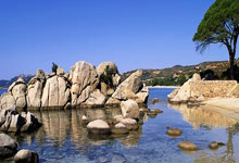 九游娱乐活动-新西兰足球超级联赛胜负交错呈现新风采，新西兰足球联赛百度百科