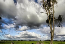 拜仁勇者无惧：红黑军团遗憾出局，卫冕冠军再战