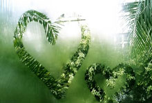 伊朗女足队展现出强大实力，勇夺女子足球精英赛预选赛冠军